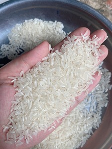 Proveedor Mayorista de Arroz Jazmín de Vietnam que Ofrece Arroz Aromático de Grano Largo de Primera Calidad para Exportación y Mercados Globales - Product Image 3