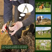10 inç 8 adet Farrier araçları at keçi Hoof düzelticiler için keçi ve koyun ile karbon çelik makası makası tırnak makası