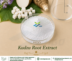 HGO Suministro directo de fábrica de extracto de raíz de Kudzu natural puro (grado alimenticio) Especificación Puerarin 65% (extracto estandarizado) - Product Image 1