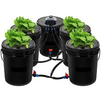 Sistema Hidropónico DWC de 5 Galones con 5 Cubetas, Kit de Cultivo en Agua Profunda, Bomba, Piedra de Aire, Equipo de Irrigación e Hidroponía