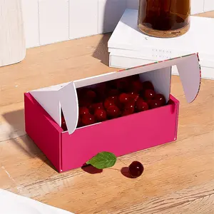 Meyve sebze karton kutu ambalajı konteyner tek kullanımlık INNORHINO