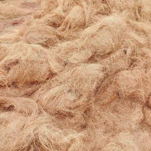 Fibres de coco naturelles standard à faible teneur en EC, fibres de coco en vrac pour l'agriculture, grandes balles de fibres de coco brunes disponibles - Product Image 5