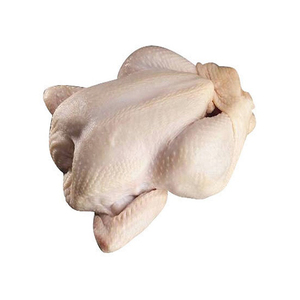 Pollo entero congelado/Pollo deshuesado halal congelado/Patas de pollo - Product Image 5