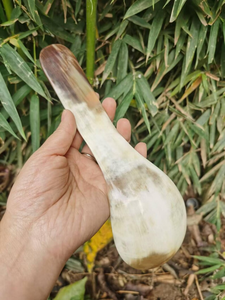 Cuchara de cuerno de vaca con mango pulido a espejo, nuevo diseño, cuchara de cuerno para servir en restaurantes, producto de alta calidad - Product Image 3