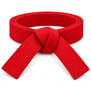 Cinturón de Judo y Karate Personalizado, Cinturón de Artes Marciales de Algodón Resistente con Costuras Reforzadas para Entrenamiento de Taekwondo - Product Image 1