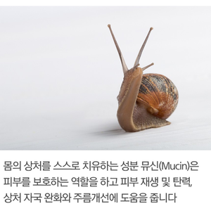 Yunbit Y-SS3-SET ชุดบำรุงผิวเกาหลี3ชิ้นครีมบำรุงผิวต่อต้านริ้วรอยและทำให้หอยทากและสเต็มเซลล์ - Product Image 2