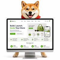 Desarrollo de Sitios Web de Comercio Electrónico Shopify para Tiendas en Línea para Aumentar la Conversión de Ventas y la Visibilidad del Crecimiento con IA