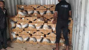 ชุดสุขภัณฑ์เซรามิก Twin Pan L540 W430 H265 มม. สำหรับห้องน้ำในบ้านพักอาศัย โรงเรียน ห้องน้ำโรงแรม ใช้ในโรงแรม โถสุขภัณฑ์แบบ P-Trap ทรงยาว - Product Image 2