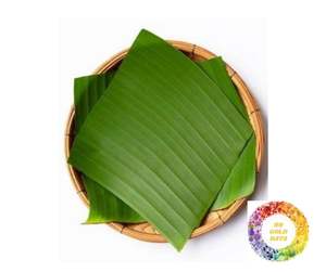 Hoja de Plátano de Primera Calidad de Vietnam, Hoja de Plátano al por Mayor para Envolver Alimentos, Restaurantes, Catering y Platos Tradicionales - Product Image 1
