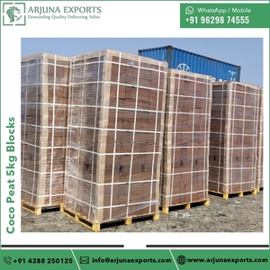 2025 Producto de tendencia superior de fibra de coco, bloques de 5Kg para compostaje de residuos - Product Image 4