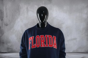 เสื้อสเวตเชิ้ตคอกลมโอเวอร์ไซส์สำหรับผู้หญิง แบรนด์ Florida Custom ผ้าคอตตอนฟลีซหนานุ่ม ปักลายเชนีลล์ ตกแต่งด้วยผ้าแอพพลิเค สำหรับฤดูใบไม้ร่วงและฤดูหนาว - Product Image 3