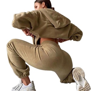Chándal de terciopelo 2025 para mujer, conjunto de invierno y otoño con capucha de manga larga y pantalones de chándal bordados, chándal para correr - Product Image 5