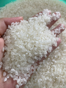 Arroz Japonés Koshihikari de Vietnam, Grano Corto, 5% de Grano Partido, Textura Suave, Nueva Cosecha, Ideal para Cocina Asiática - Product Image 1