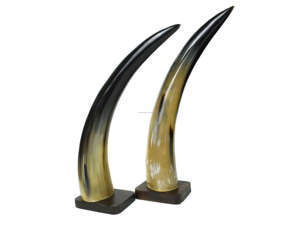 Sculpture de bureau en corne décorative pour homme, accessoires de décoration d'intérieur pour salon et bureau, vintage, fabriqué en Inde - Product Image 6