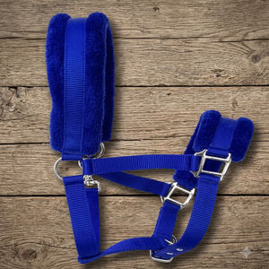 Fournisseur d'usine en gros : Licol pour cheval en nylon bleu avec rembourrage en polaire et doubles boucles métalliques réglables - Product Image 1