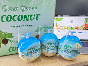 Noix de coco jeune fraîche du Vietnam, entière, forme diamant, peau verte, qualité export, longue durée de conservation TECHMIFOOD Vietnam - Product Image 2