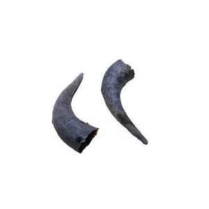 High Quality Customized Size Raw Buffalo Horn Tip <b>Polished</b> <b>Black</b> Agate Color Religious Holiday Decorative Natural Craft - Product Image 3