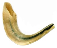 Ram Shofar Hébreu Trompette Coup de Corne Juif Casher Terre Sainte Israël par gm impex