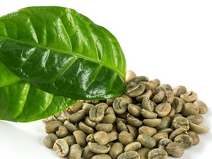 Granos de Café Verde Robusta Vietnamita de Primera Calidad, Tamaño 16, para Tostadores y Distribuidores, Directo de la Granja - Product Image 1