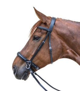 Brida para Caballo de Cuero Genuino de Alta Resistencia, Calidad Premium, Proveedor de Equipo de Equitación al Por Mayor al Mejor Precio - Product Image 1