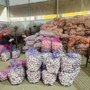 2025 Nuevo Cultivo de ajo blanco puro de Vietnam Producto agrícola al por mayor Contacto + 84 36 680 8683 - Product Image 3