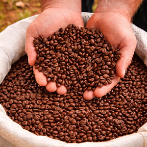 เมล็ดกาแฟคั่วเวียดนามพรีเมียม / รสชาติเข้มข้น / คุณอลีนา - Product Image 3