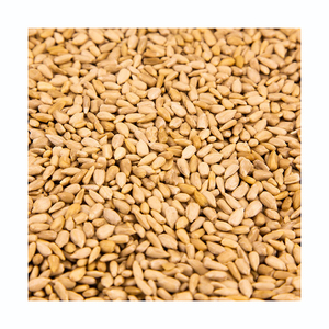 Semillas de girasol al por mayor, precio económico, alta calidad, semillas tostadas - Product Image 4