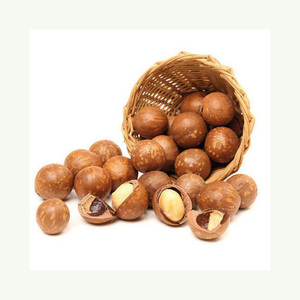 Nueces de Macadamia al Por Mayor a Precio de Fábrica, Nueces de Macadamia Tostadas - Product Image 4