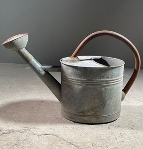 Arrosoir décoratif vintage en métal pour plantes d'intérieur, pot élégant pour verser l'eau avec long bec verseur et poignée - Product Image 1