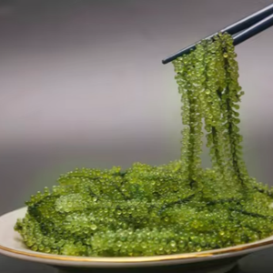 Uvas de Mar Verdes de Origen Vietnamita | Textura Crujiente - Product Image 1