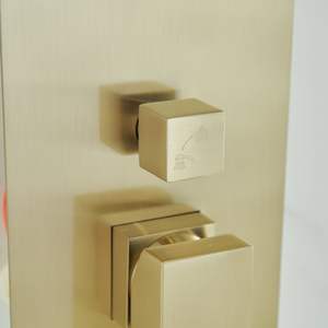 Lussuoso soffione doccia quadrato da 10 pollici a parete con manico singolo a 2 spruzzi 10 pollici. Set di ferramenta da bagno tra cui rubinetto doccia a mano - Product Image 4