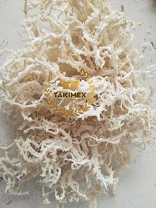 Top Vietnamese Supplier <b>Sea</b> <b>Moss</b> Purple <b>Sea</b> <b>Moss</b> Dried <b>Sea</b> <b>moss</b> st lucia New Crop Dried Irish Dried Make <b>Gel</b> <b>Organic</b> - Product Image 4