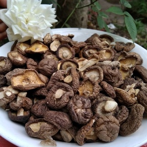 Hongos Shiitake secos enteros para sopa OEM Embalaje a granel Cultivado Seco Xianggu Shiitake Seta Comida vegetariana - Product Image 4