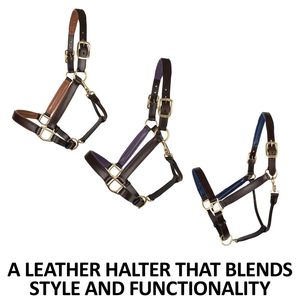 Harnais de Selle Anglaise Personnalisé en Cuir Doux avec Ferrures en Laiton de Qualité Supérieure Fabriqué en Matière PP - Product Image 2