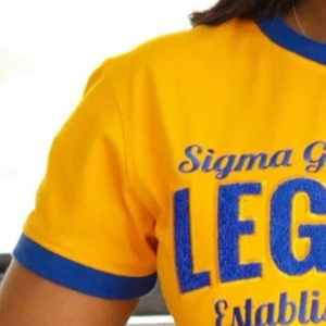 Camiseta de chenilla SGRho Legacy para mujer, con letras griegas bordadas personalizadas, cuello redondo, estilo clásico de hermandad, moda al por mayor - Product Image 3