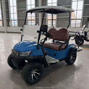 Carrito de Golf Eléctrico Auténtico de 2 Plazas con Asientos de Cuero Cómodos y Llantas de Aleación, Gran Oferta 2025 - Product Image 1