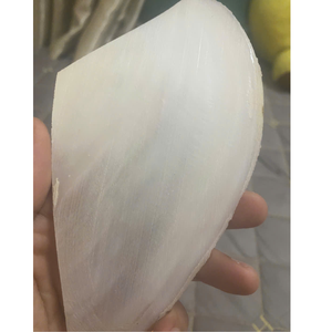 SeaShell Inlays Slabs & Sheet <b>Black</b> Mother of Pearl Inlay Blanks Gold Mother of Pearl Inlay Blanks: <b>Polished</b> Shell Pieces - Product Image 6