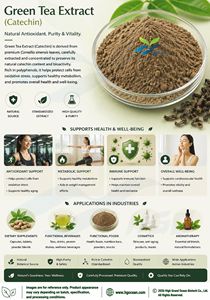 Hgo สารสกัดจากชาเขียวธรรมชาติบริสุทธิ์ (เกรดอาหาร) ข้อมูลจำเพาะ80% catechin (สารสกัดมาตรฐาน) - Product Image 3