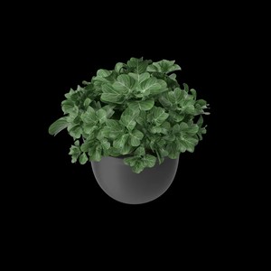 Pot de plante sphérique en métal noir, vente en gros |   Aqdus Saleem Moradabad - Product Image 3