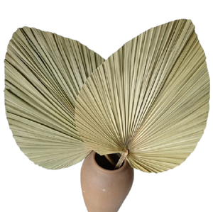 ใบปาล์มตกแต่งธรรมชาติ ADVAITH สำหรับตกแต่งดอกไม้และพืช - Product Image 3