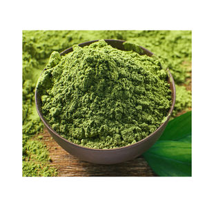 Poudre de menthe de qualité supérieure, herbe séchée finement broyée pour cuisines commerciales, disponible à prix abordable - Product Image 2