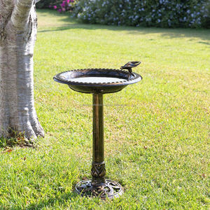 Bain d'oiseaux traditionnel en métal pour jardin extérieur, attirant naturellement les oiseaux, avec base stable et résistant à la rouille. - Product Image 6