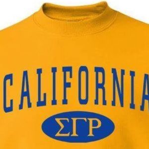 เสื้อสเวตเชิ้ต Sigma Gamma Rho สีทองสำหรับผู้หญิง ลายกรีก ออกแบบด้วยตัวอักษรและกราฟิกของชมรม พร้อมปักชื่อชมรมแบบกำหนดเอง - Product Image 5