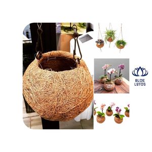 Maceta de Fibra de Coco Biodegradable de Alta Calidad y Ecológica, Ideal para el Cultivo de Semillas y el Crecimiento de Plantas, Venta al Por Mayor - Product Image 1