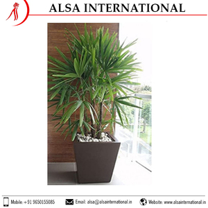 Macetas Modernas para Decoración del Hogar, Duraderas para Plantas de Interior y Exterior, de Proveedor Indio - Product Image 6