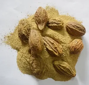 Poudre de Harad Premium, Haritaki, Terminalia Chebula Naturel, Poudre Herbacée Ayurvédique en Vrac au Meilleur Prix - Product Image 3