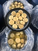 Venta al por mayor de champiñones salados deliciosos enlatados en bidones, champiñones frescos conservados, champiñones blancos a precio de fábrica