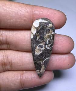 Lote al por mayor de cabujones de ágata TURRITELLA por peso con diferentes formas y tamaños utilizados para la fabricación de joyas, piedra TURRITELLA - Product Image 3