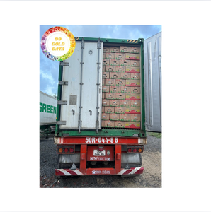 Plátano Cavendish Fresco – Calidad Premium de Exportación de Vietnam - Product Image 4