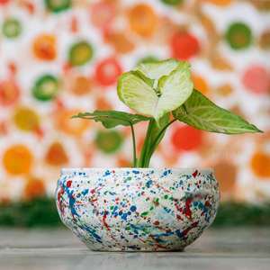 Small Multi Ceramic <b>Pot</b> Planter with Drain Holes for <b>Succulents</b> Decorative Indoor Outdoor Gamla for Balcony Home Office - Product Image 2